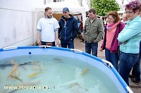 Bild: Fischfest