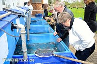 Bild: Fischfest