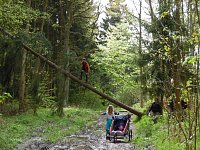Bild: Nordh&auml;user Doppelk&ouml;rner wanderten