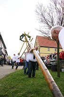Traditionelles Maibaumsetzen in Obergebra Bild: Traditionelles Maibaumsetzen in Obergebra