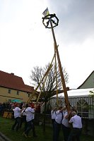 Traditionelles Maibaumsetzen in Obergebra Bild: Traditionelles Maibaumsetzen in Obergebra