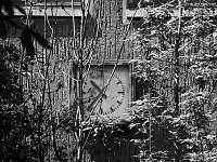 Bild: Die dunkle Seite von Nordhausen