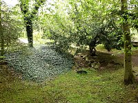 Bild: Besuch im Park