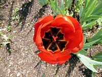 Bild: Besuch im Park