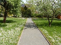Bild: Besuch im Park