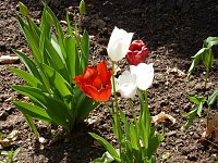 Bild: Besuch im Park
