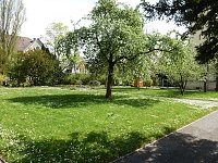 Bild: Besuch im Park