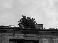 Bild: Die dunkle Seite von Nordhausen (Teil 2)