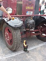 Bild: Die achte Auflage in Heringen