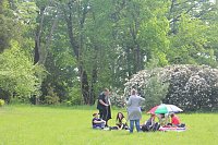 Bild: M&auml;rchenpicknick im Park Hohenrode