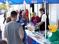Bild: 