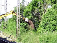 Bild: Gleisbau in Wolkramshausen