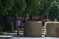 Bild: Areefest in Niedersachswerfen (der Samstag)