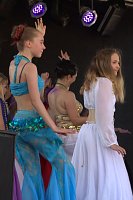 Bild: Areefest in Niedersachswerfen (der Samstag)