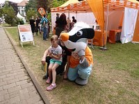 Rolandsfest 2015 - der Samstag Bild: Rolandsfest 2015 - der Samstag