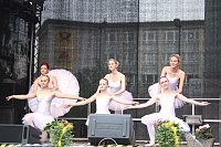 Die Eleven des Tanzstudio Radeva auf dem 47. Rolandsfest Bild: Die Eleven des Tanzstudio Radeva auf dem 47. Rolandsfest