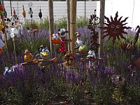 Landesgartenschau in Schmalkalden Bild: Landesgartenschau in Schmalkalden