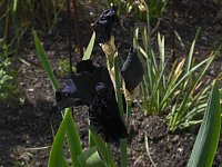 Landesgartenschau in Schmalkalden Bild: Landesgartenschau in Schmalkalden