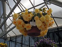 Landesgartenschau in Schmalkalden Bild: Landesgartenschau in Schmalkalden