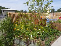 Landesgartenschau in Schmalkalden Bild: Landesgartenschau in Schmalkalden