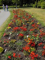 Landesgartenschau in Schmalkalden Bild: Landesgartenschau in Schmalkalden