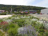 Landesgartenschau in Schmalkalden Bild: Landesgartenschau in Schmalkalden