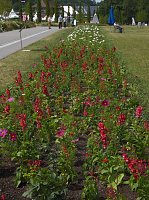Landesgartenschau in Schmalkalden Bild: Landesgartenschau in Schmalkalden