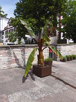 Bild: Unterwegs in Schmalkalden