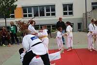 Sport frei! Die Nordthüringer Lebenshilfe feierte heute wieder ihr jährliches Sportfest in Nordhausen Bild: Sport frei! Die Nordthüringer Lebenshilfe feierte heute wieder ihr jährliches Sportfest in Nordhausen