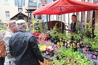 Fernöstliche Kunst in Grün - Bonsai-Ausstellung in der Echte Nordhäuser Traditionsbrennerei Bild: Fernöstliche Kunst in Grün - Bonsai-Ausstellung in der Echte Nordhäuser Traditionsbrennerei