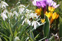 Grüße vom Frühling Bild: Grüße vom Frühling