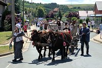 Festumzug in Uthleben Bild: Festumzug in Uthleben