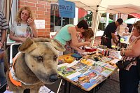 Sommerfest der Nordthüringer Werkstätten in Nordhausen Bild: Sommerfest der Nordthüringer Werkstätten in Nordhausen