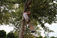 Sommerfest der Nordthüringer Werkstätten in Nordhausen Bild: Sommerfest der Nordthüringer Werkstätten in Nordhausen