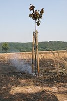 Feuer zwischen Klein- und Großfurra Bild: Feuer zwischen Klein- und Großfurra