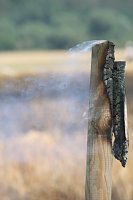 Feuer zwischen Klein- und Großfurra Bild: Feuer zwischen Klein- und Großfurra