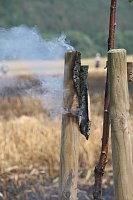 Feuer zwischen Klein- und Großfurra Bild: Feuer zwischen Klein- und Großfurra
