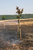 Feuer zwischen Klein- und Großfurra Bild: Feuer zwischen Klein- und Großfurra