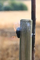 Feuer zwischen Klein- und Großfurra Bild: Feuer zwischen Klein- und Großfurra