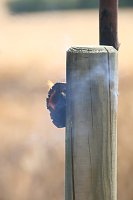 Feuer zwischen Klein- und Großfurra Bild: Feuer zwischen Klein- und Großfurra