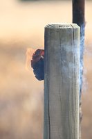 Feuer zwischen Klein- und Großfurra Bild: Feuer zwischen Klein- und Großfurra