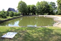 Oldtimer im Schlosspark Bild: Oldtimer im Schlosspark