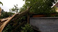 In Harztor war ein Baum umgestürzt Bild: In Harztor war ein Baum umgestürzt