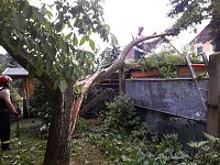 In Harztor war ein Baum umgestürzt Bild: In Harztor war ein Baum umgestürzt