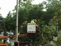 Bilder vom Unwetter Bild: Bilder vom Unwetter