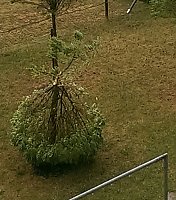 Bilder vom Unwetter Bild: Bilder vom Unwetter
