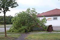Bild: Sturmsch&auml;den in Nordhausen