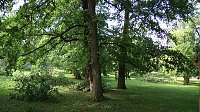 In den Morgenstunden wurde im Landkreis Nordhausen mit den Aufräumarbeiten begonnen Bild: In den Morgenstunden wurde im Landkreis Nordhausen mit den Aufräumarbeiten begonnen