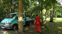 In den Morgenstunden wurde im Landkreis Nordhausen mit den Aufräumarbeiten begonnen Bild: In den Morgenstunden wurde im Landkreis Nordhausen mit den Aufräumarbeiten begonnen