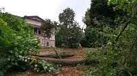 In den Morgenstunden wurde im Landkreis Nordhausen mit den Aufräumarbeiten begonnen Bild: In den Morgenstunden wurde im Landkreis Nordhausen mit den Aufräumarbeiten begonnen